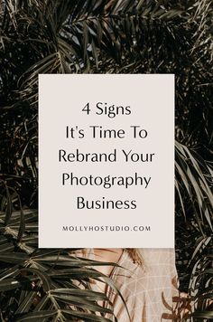 a palm tree with the words how to find a brand designer for your photography business