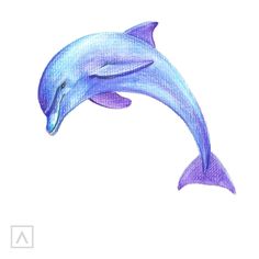 a drawing of a dolphin jumping in the air