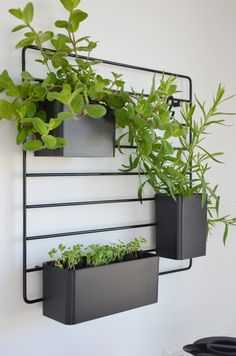 three planters are hanging on the wall next to each other with plants in them