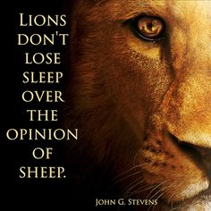 "Lions don't lose sleep over the opinion of sheep.﻿" Latin: "Leonum non refert quid oves censeant" Lions Dont Lose Sleep, Sheep Quote, Future Quotes, Lion Quotes, Science Quotes, Sleep Over, Lifestyle Quotes, Warrior Quotes