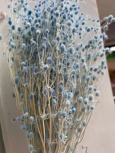 a bunch of blue flowers sitting on top of a wooden table next to a white wall