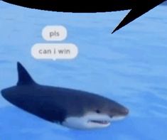 an orca swimming in the water with two speech bubbles above it that says pls can i win