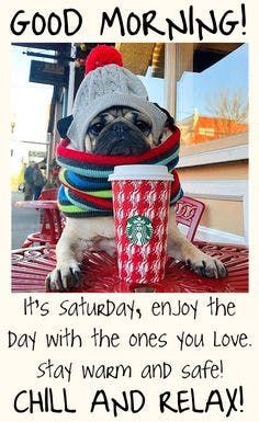 a pug dog sitting on top of a table next to a cup of coffee