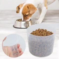 a dog eating out of a bowl with its owner's hand next to it