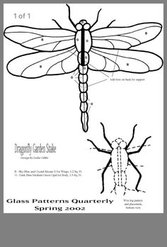 the diagram shows how to draw a dragonfly