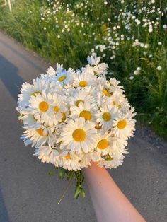 a bouquet of white daisies held by a person's hand on a road