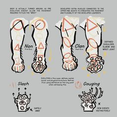 an image of how to draw legs and feet with different shapes, sizes and colors