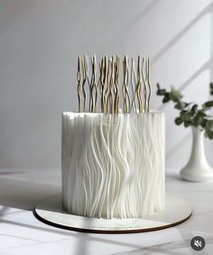 there is a white cake that has many sticks sticking out of it