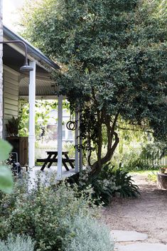 the back porch is covered with trees and plants, along with a picnic table in the foreground