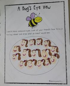 a bug's eye view activity for kids