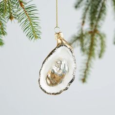 an ornament hanging from a christmas tree with a baby's photo in it