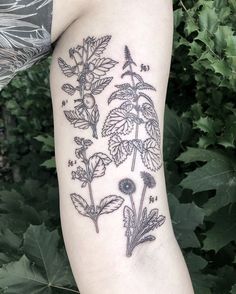 a woman's leg with tattoos on it and flowers in black ink, sitting next to green leaves