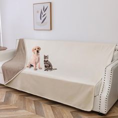 a dog and cat sitting on top of a couch with a cover over it's back