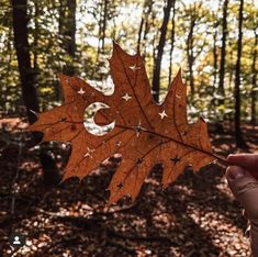 someone holding up a leaf with the number three on it in front of some trees