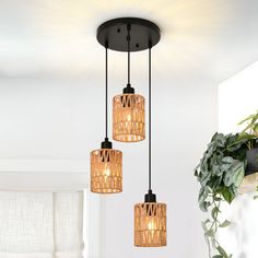 three lights hanging from a ceiling in a living room with plants and potted plant