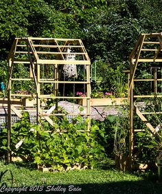 an outdoor garden area with various types of plants