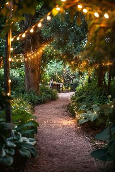 a path that has lights strung over it and trees on both sides, leading to a bench in the middle