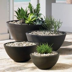 four planters with plants in them sitting on the ground