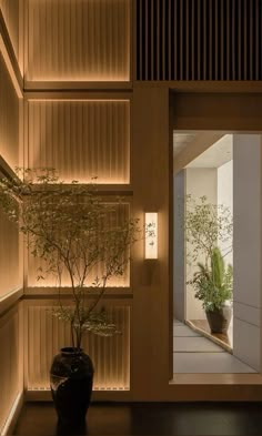 a potted plant sitting on top of a wooden floor next to a wall filled with lights