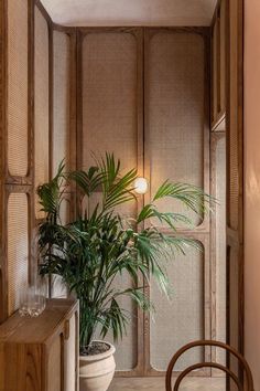 a potted plant sitting on top of a wooden table next to a chair and wall