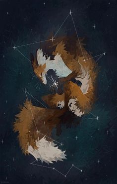 two foxes in the night sky surrounded by stars