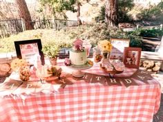 a table topped with lots of cakes and desserts on top of a checkered cloth