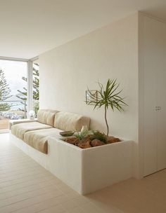 a living room filled with furniture and a potted plant on top of the couch