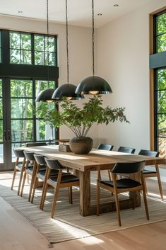 a dining room table with chairs and a potted plant on top of the table