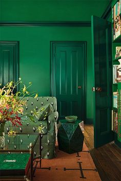 a living room with green painted walls and furniture in front of a book shelf filled with books