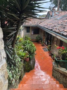 an orange brick walkway leading to a house with potted plants on the side and tiled roof