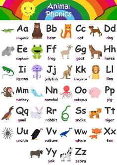 an animal alphabet poster with animals and letters