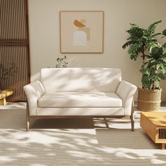 a white couch sitting next to a plant in a living room