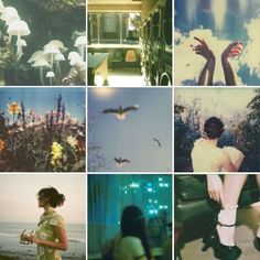 a collage of pictures with different people and animals in them, including mushrooms, flowers, birds, trees, and buildings