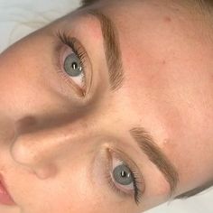 Dark Blonde Microbladed Eyebrows, Blonde Henna Brows, Soft Powder Brows, Light Brown Eyebrows With Blonde Hair, Dark Brows With Blonde Hair, Eyebrow Inspo Natural, Microblading Inspiration, Blonde Hair Brown Eyebrows, Blonde Microblading Eyebrows