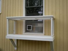 a small caged animal in front of a window on the side of a building