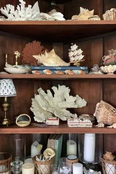 Looking to add a touch of seaside elegance to your farmhouse-style home? Check out these 7 stunning seashell decor ideas that will instantly brighten up your living space. Whether it's a subtle shell-adorned picture frame or a bold seashell chandelier, you'll find inspiration to bring the tranquility of the coast into your home. Embrace the beauty of nature and create a peaceful atmosphere in your farmhouse with these charming decor ideas! Seashell Display, Sharks Teeth, Shell Display, Seashell Candles