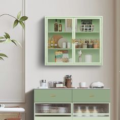 a green cabinet with shelves filled with food and drinks next to a potted plant