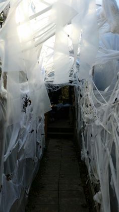 the walkway is covered with plastic sheets and spider webs to protect it from predators