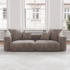 a living room with two couches and a potted plant on the floor in front of large windows