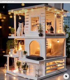 a doll house with two cats sitting on the windowsills and lights around it