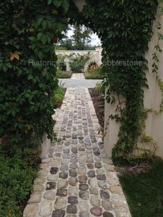 a stone path is surrounded by greenery