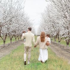 a man and woman walking through an orchard holding hands