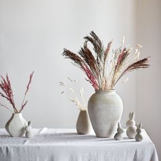 three vases with plants in them sitting on a white table cloth covered tablecloth