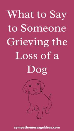 If you're struggling with what to say to someone whose dog died then this guide and examples of what to say will help The Loss Of A Dog, Loss Of A Dog, Dog Died, A Dog, Dogs