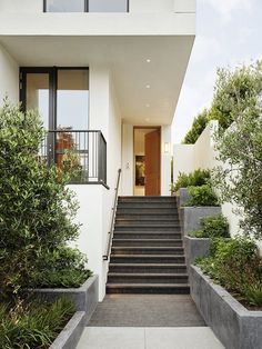 the stairs lead up to the front door of this modern home with trees and shrubs