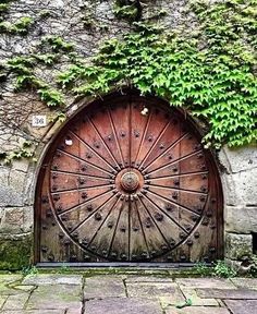 an old wooden door with vines growing over it's sides and in front of a stone wall