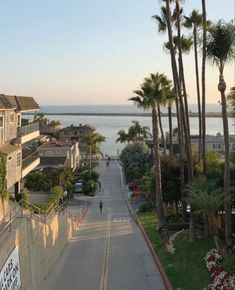 an empty street with palm trees on both sides and the ocean in the back ground