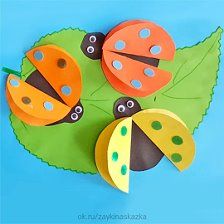 four ladybugs are sitting on top of a green leaf