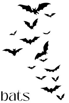 black bats flying in the air against a white background with words bats written below them