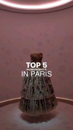 the top 5 most expensive dresses in paris